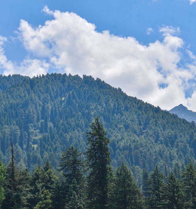 Relief Camp Manager — Terrace, British Columbia